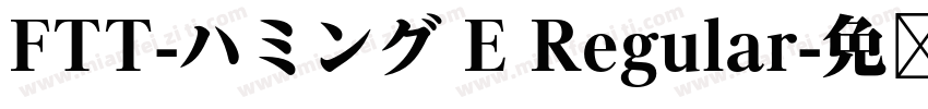 FTT-ハミング E Regular字体转换